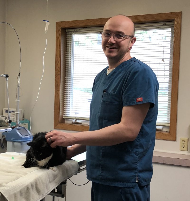 rockford vet clinic cat exam and staff